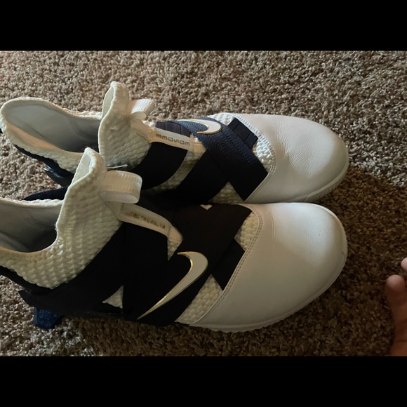 LeBron   Witness - Picture 3 of 4